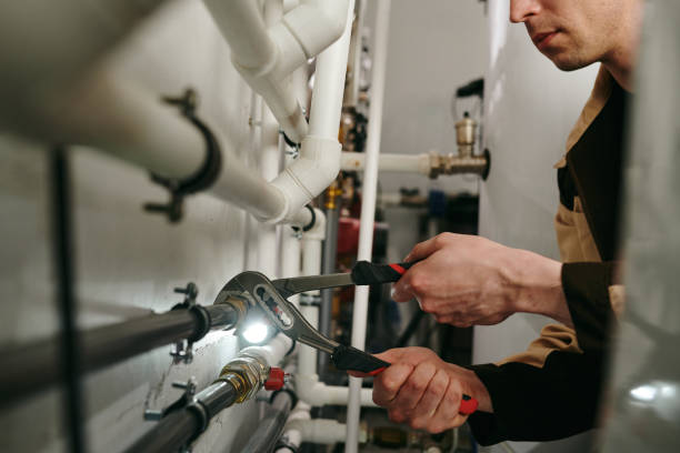 Best Local Plumber Services  in Osseo, WI